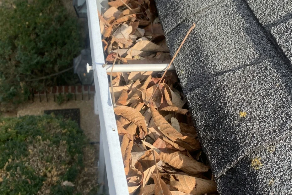 Gutter Cleaning Bonneau