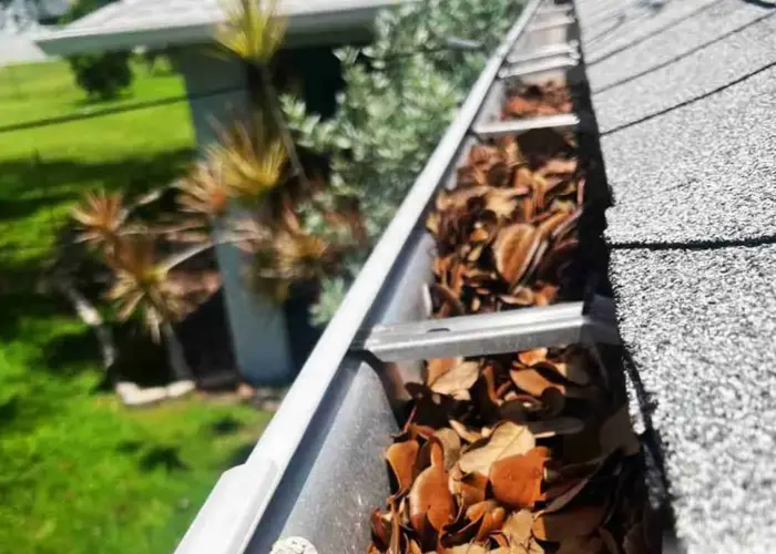 Gutter Cleaning Bonneau home page